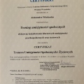 Powiększ obraz: certificate 17