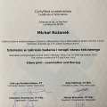 Powiększ obraz: certificate 2