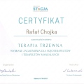Powiększ obraz: certificate 4