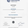 Powiększ obraz: certificate 11