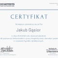 Powiększ obraz: certificate 1