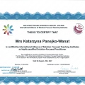 Powiększ obraz: certificate 3