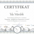 Powiększ obraz: certificate 6