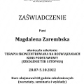 Powiększ obraz: certificate 1