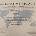 Powiększ obraz: certificate 4