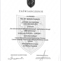 Powiększ obraz: certificate 1