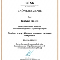Powiększ obraz: certificate 7