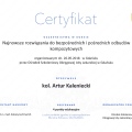 Powiększ obraz: certificate 1