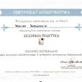 Powiększ obraz: certificate 8