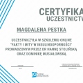 Powiększ obraz: certificate 3