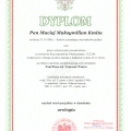 Powiększ obraz: certificate 1