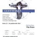 Powiększ obraz: certificate 8