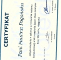 Powiększ obraz: certificate 8