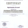 Powiększ obraz: certificate 6