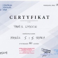 Powiększ obraz: certificate 4