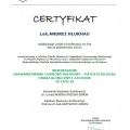Powiększ obraz: certificate 1