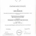 Powiększ obraz: certificate 2
