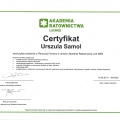 Powiększ obraz: certificate 8