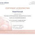 Powiększ obraz: certificate 8