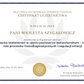 Powiększ obraz: certificate 15