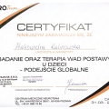 Powiększ obraz: certificate 5