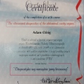 Powiększ obraz: certificate 11