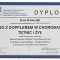 Powiększ obraz: certificate 5
