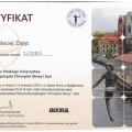 Powiększ obraz: certificate 11