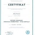 Powiększ obraz: certificate 3