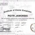 Powiększ obraz: certificate 8