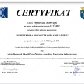 Powiększ obraz: certificate 1