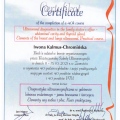 Powiększ obraz: certificate 11