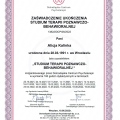Powiększ obraz: certificate 2