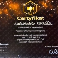 Powiększ obraz: certificate 1