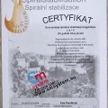 Powiększ obraz: certificate 16