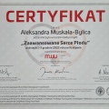 Powiększ obraz: certificate 27