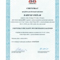 Powiększ obraz: certificate 1