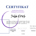 Powiększ obraz: certificate 1