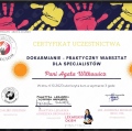 Powiększ obraz: certificate 4