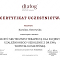Powiększ obraz: certificate 2