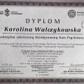Powiększ obraz: certificate 1
