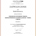 Powiększ obraz: certificate 6