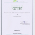 Powiększ obraz: certificate 3