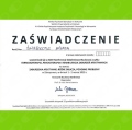 Powiększ obraz: certificate 9