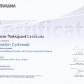 Powiększ obraz: certificate 9