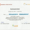 Powiększ obraz: certificate 7