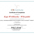 Powiększ obraz: certificate 5