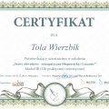 Powiększ obraz: certificate 10