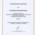 Powiększ obraz: certificate 2
