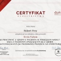 Powiększ obraz: certificate 10